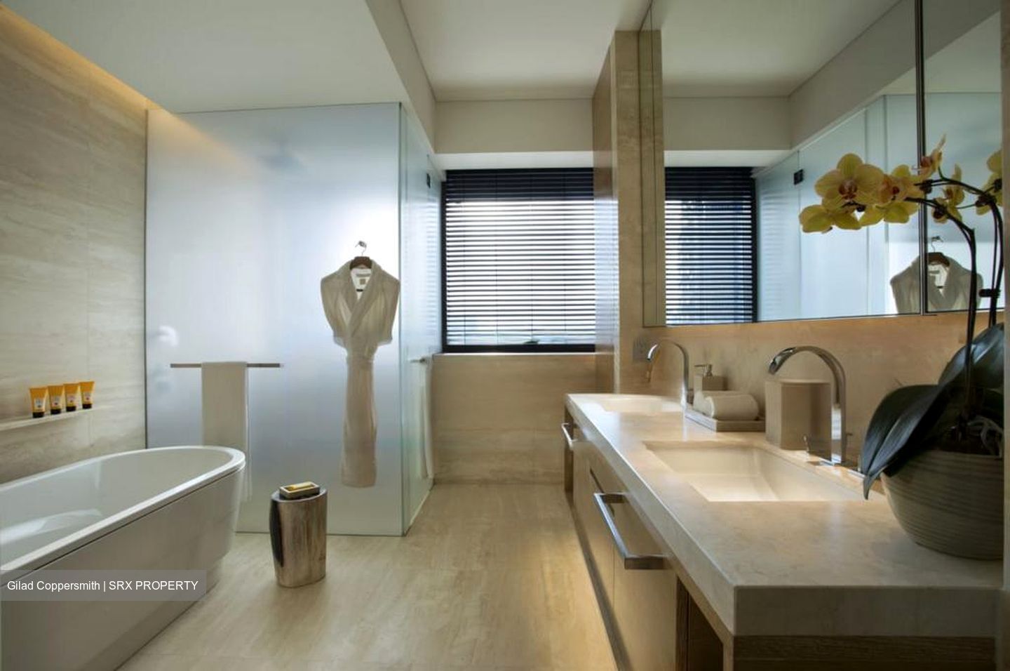 Hana (D10), Condominium #443669091